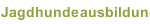 Jagdhundeausbildung